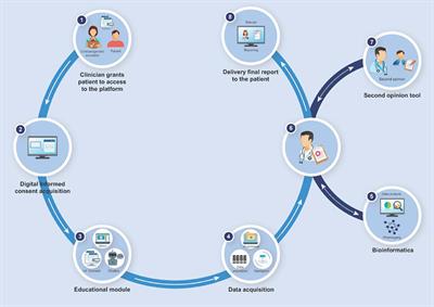 Genome access and other web-based IT solutions: Genetic counseling in the digital era